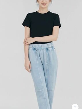 AERIE  Jogger Pants- Large / Short